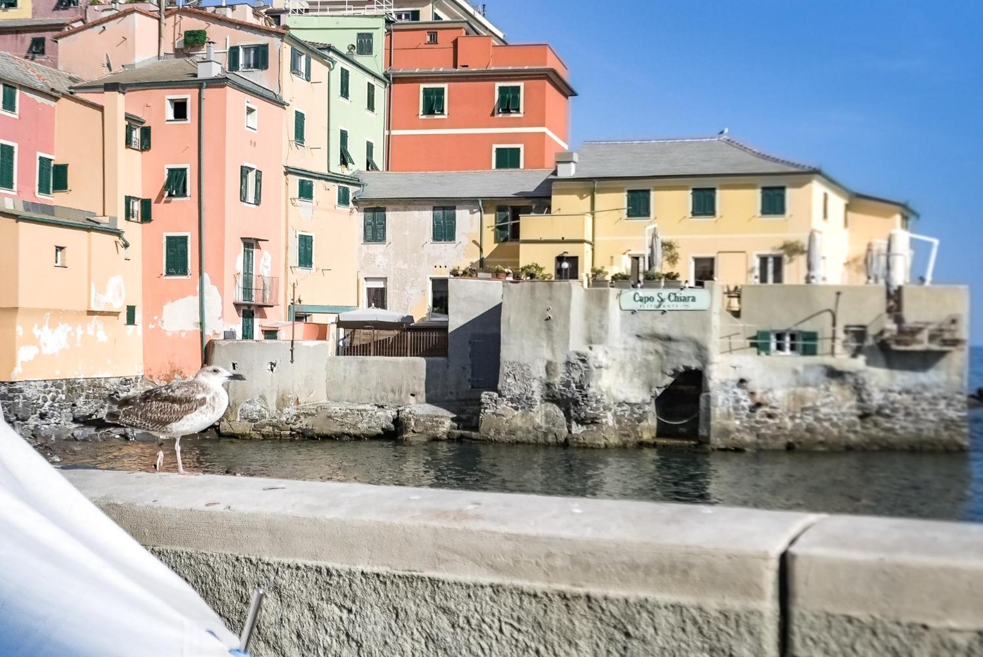 Il Rifugio Sul Mare - Genovainrelax Daire Dış mekan fotoğraf